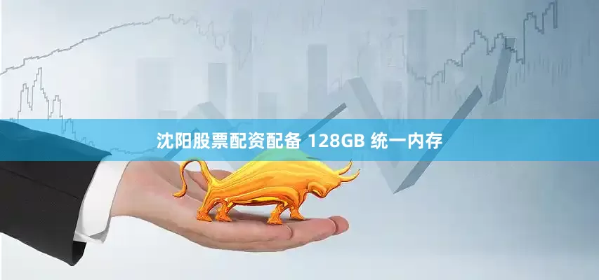 沈阳股票配资配备 128GB 统一内存
