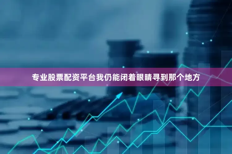 专业股票配资平台我仍能闭着眼睛寻到那个地方