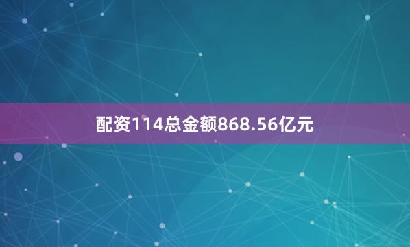 配资114总金额868.56亿元